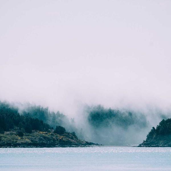 Air Fryer Digital Vision