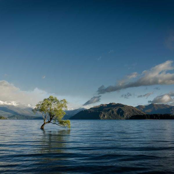 Lava-louças Inox Silent